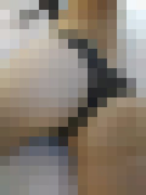 HarleyX Huntsville, Alabama Escort, Massage, Verified Adult Service Provider, Companion in United States | 7