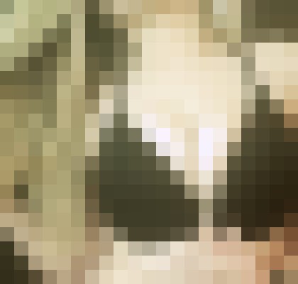 Raine Huntsville, Alabama Escort, , Verified Adult Service Provider, Companion in United States | 6