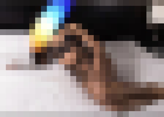 Amberleon New York Escort, BDSM, Verified Adult Service Provider, Companion in United States | 6