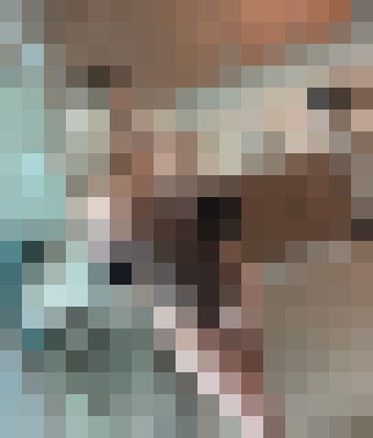 Vanessita Bordeaux Escort, Pornstar, BDSM, DUO, Massage, Verified Adult Service Provider, Companion in France | 4