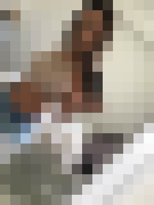cathy09 Denver, Colorado Escort, , Verified Adult Service Provider, Companion in United States | 4