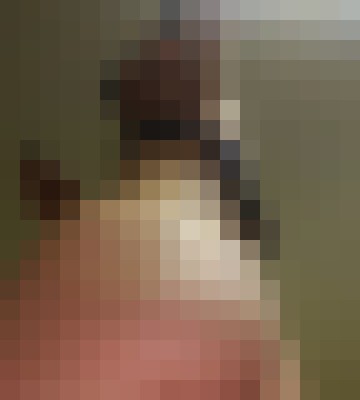 Zariah Flower Tysons Corner, Virginia Escort, , Verified Adult Service Provider, Companion in United States | 5