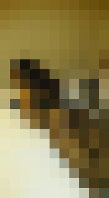 Sexy Angel 1108 Atlantic City, New Jersey Escort, Pornstar, BDSM, DUO, Verified Adult Service Provider, Companion in United States | 3
