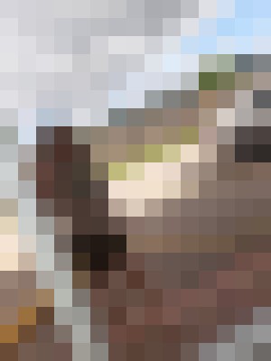 Jjayla70508 Lafayette, Louisiana Escort, Pornstar, Verified Adult Service Provider, Companion in United States | 8