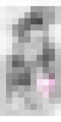 SweetSarah_ Portland, Oregon Escort, , Verified Adult Service Provider, Companion in United States | 2