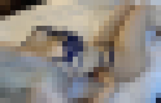 LucyLaurent New York Escort, Pornstar, DUO, Couple, Verified Adult Service Provider, Companion in United States | 6