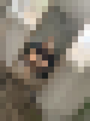 tireddomme Portland, Oregon Escort, BDSM, DUO, Verified Adult Service Provider, Companion in United States | 6