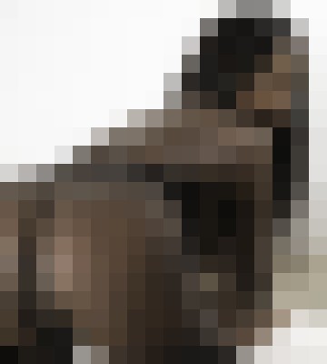 Girlyface Oakland, California Escort, , Verified Adult Service Provider, Companion in United States | 3