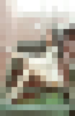 Bunny Elin San Jose, California Escort, , Verified Adult Service Provider, Companion in United States | 2