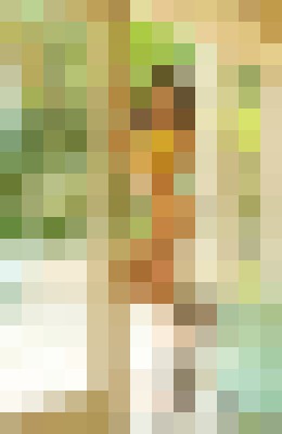 Sky_kangels Bellevue, Washington Escort, , Verified Adult Service Provider, Companion in United States | 2