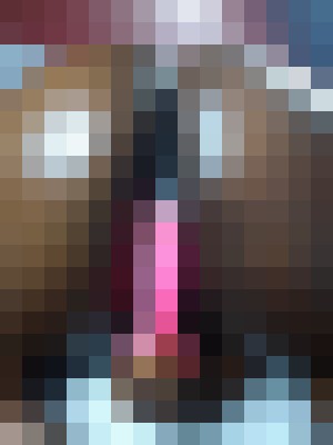 pussycat Newark, New Jersey Escort, , Verified Adult Service Provider, Companion in United States | 2