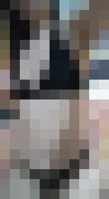 Tazz New York Escort, , Verified Adult Service Provider, Companion in United States | 7