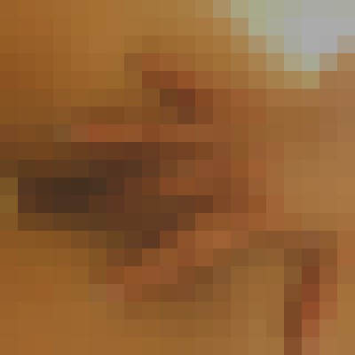Candy love Kennewick, Washington Escort, , Verified Adult Service Provider, Companion in United States | 6