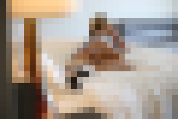 Bridgette Daniels Fort Worth, Texas Escort, Pornstar, DUO, Verified Adult Service Provider, Companion in United States | 6
