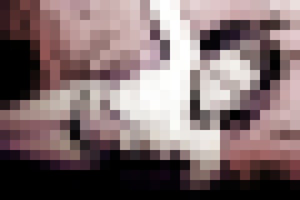 Dreamin68 Atlanta, Georgia Escort, Pornstar, BDSM, Couple, Verified Adult Service Provider, Companion in United States | 9