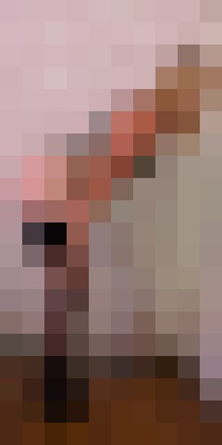 Ts Nikki SixXx Charleston, South Carolina Escort, Pornstar, BDSM, DUO, Couple, Massage, Verified Adult Service Provider, Companion in United States | 12