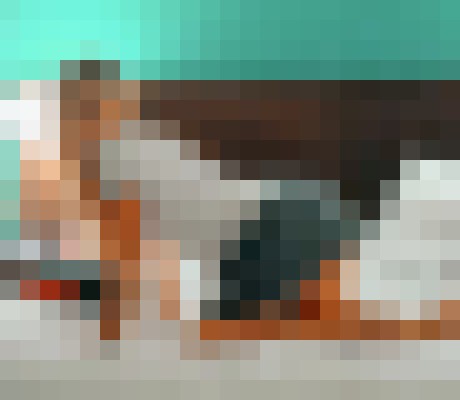 Ms.Finesse34 Nashville-Davidson, Tennessee Escort, Pornstar, BDSM, Couple, Massage, Verified Adult Service Provider, Companion in United States | 3