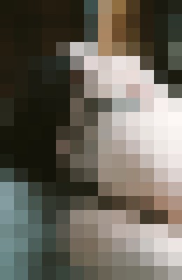 MILA ROBERTS Stowe, VT Escort, , Verified Adult Service Provider, Companion in United States | 14