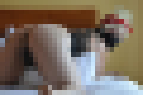 TaylorRed Sacramento, California Escort, BDSM, Couple, Verified Adult Service Provider, Companion in United States | 3