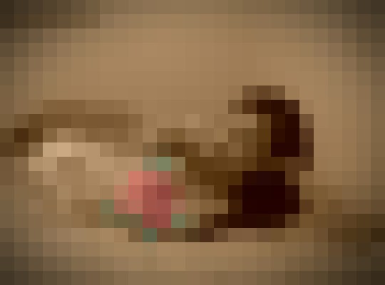 Kinkykiki Salt Lake City, Utah Escort, Pornstar, Verified Adult Service Provider, Companion in United States | 4