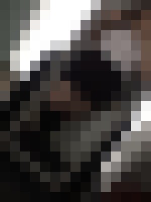 mountxins Chesapeake, Virginia Escort, , Verified Adult Service Provider, Companion in United States | 3
