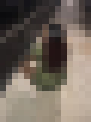 Caprii25 Houston, Texas Escort, Pornstar, Verified Adult Service Provider, Companion in United States | 7