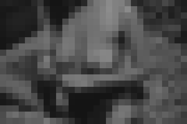 MxAxYxA Los Angeles, California Escort, , Verified Adult Service Provider, Companion in United States | 6