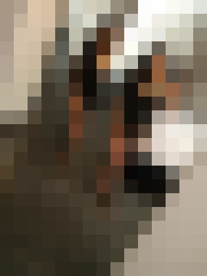 ZoeyLov3 Dallas, Texas Escort, , Verified Adult Service Provider, Companion in United States | 4