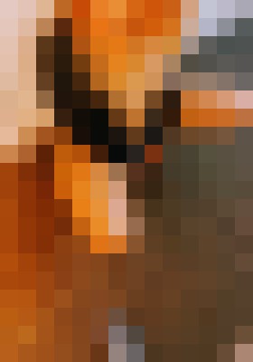 Sttevie143 Salt Lake City, Utah Escort, Pornstar, Verified Adult Service Provider, Companion in United States | 2