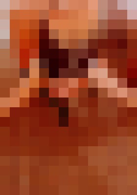 Sttevie143 Salt Lake City, Utah Escort, Pornstar, Verified Adult Service Provider, Companion in United States | 4