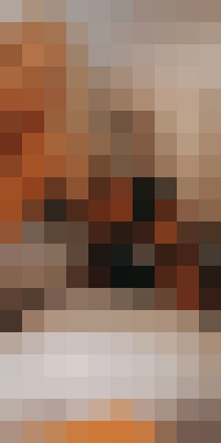 LexxiStar87 Farmington, New Mexico Escort, Pornstar, BDSM, Verified Adult Service Provider, Companion in United States | 10