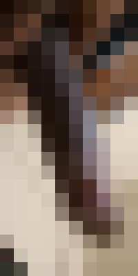 BBC Seattle, Washington Escort, Pornstar, Verified Adult Service Provider, Companion in United States | 5