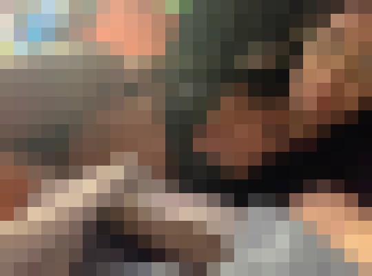 Nautinatxoxox69 Miami, Florida Escort, Couple, Massage, Verified Adult Service Provider, Companion in United States | 10