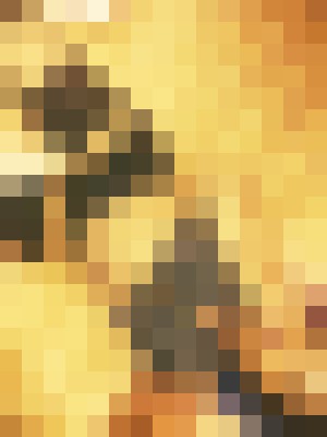 Reign Royalty Bakersfield, California Escort, Pornstar, Verified Adult Service Provider, Companion in United States | 6