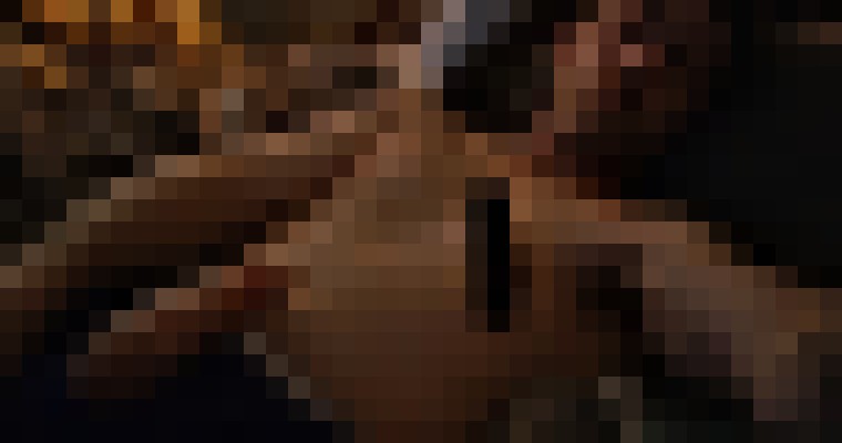 Mympho Memphis, Tennessee Escort, Pornstar, Verified Adult Service Provider, Companion in United States | 2