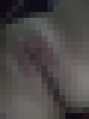 Bitbit Hickory, North Carolina Escort, Pornstar, BDSM, Couple, Verified Adult Service Provider, Companion in United States | 6