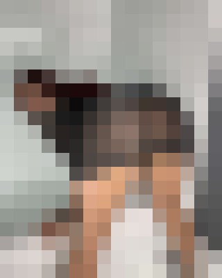 maciel rone Texas City, Texas Escort, , Verified Adult Service Provider, Companion in United States | 3