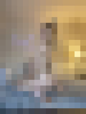 Dalilah Hudson Valley, New York Escort, Pornstar, BDSM, DUO, Couple, Verified Adult Service Provider, Companion in United States | 8