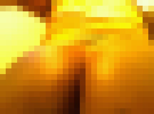 Queen45 Columbia, South Carolina Escort, Pornstar, Verified Adult Service Provider, Companion in United States | 3