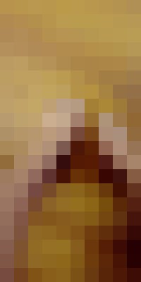 danaboo Fayetteville, North Carolina Escort, , Verified Adult Service Provider, Companion in United States | 17