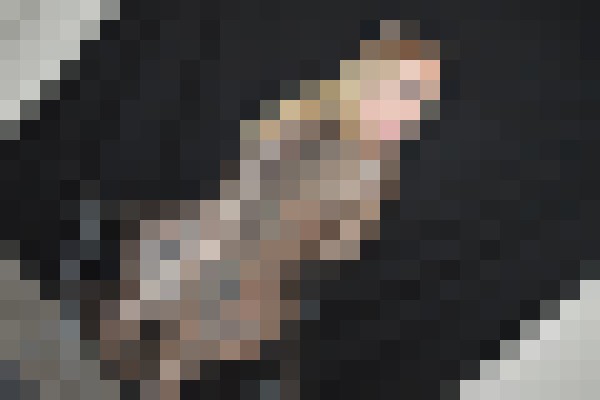 Rori56 Tucson, Arizona Escort, Pornstar, Verified Adult Service Provider, Companion in United States | 4