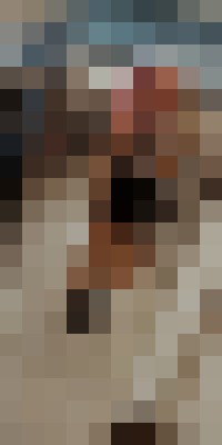 Lunaaaa Louisville-Jefferson County, Kentucky Escort, , Verified Adult Service Provider, Companion in United States | 15