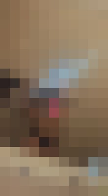 Sophie22 Las Vegas, Nevada Escort, Pornstar, Verified Adult Service Provider, Companion in United States | 3
