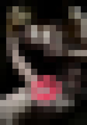 SummerCox Orlando, Florida Escort, Pornstar, DUO, Massage, Verified Adult Service Provider, Companion in United States | 6