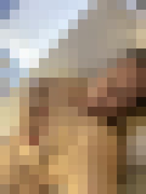 Nikki J Phoenix, Arizona Escort, Pornstar, BDSM, Verified Adult Service Provider, Companion in United States | 5
