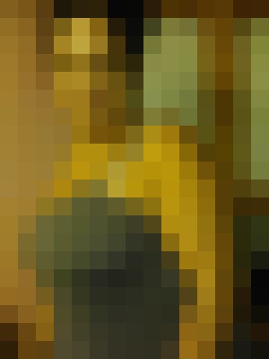 zenaida Houston, Texas Escort, DUO, Verified Adult Service Provider, Companion in United States | 4