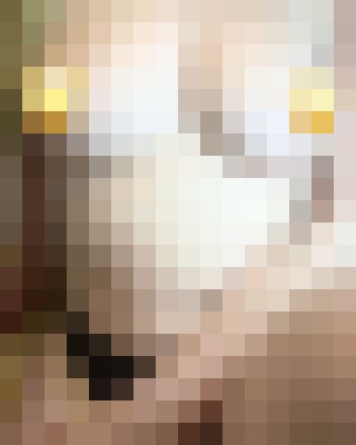 SexyDiamondX Columbus, Ohio Escort, , Verified Adult Service Provider, Companion in United States | 6