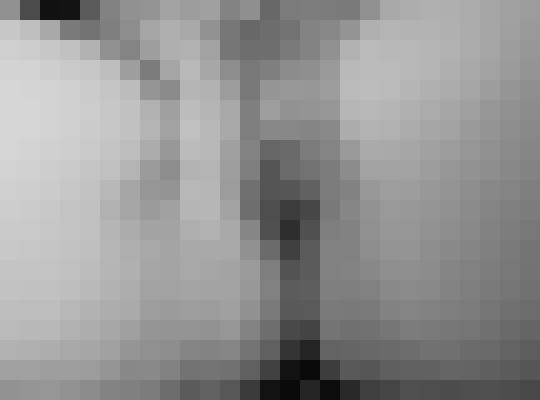 Sub1978 Pensacola, Florida Escort, BDSM, Verified Adult Service Provider, Companion in United States | 8