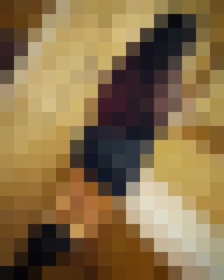 Elivip Istanbul Escort, Pornstar, Verified Adult Service Provider, Companion in Turkey | 4