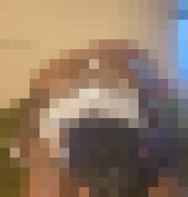 Daizy Cleveland, Ohio Escort, Pornstar, BDSM, Massage, Verified Adult Service Provider, Companion in United States | 9